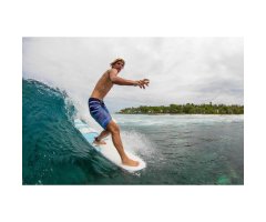 Surfboard TORQ Epoxy TET 8.0 Longboard Pinlines