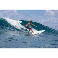 Surfboard TORQ TET 9.0 Longboard Pinline