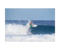 Surfboard TORQ Epoxy TET 6.10 Fish Pinlines