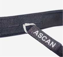 Ascan Wing & Board Belt XS-M & L-XXL
