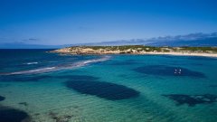 Fanatic iSUP Ray Air SLT 116 SUP Board Aufblasbar 2026...