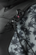 Neilpryde Vamp Hooded 5/4mm GBS Frontzip 2026 Damen Neoprenanzug C3 CHARCOAL/PALM
